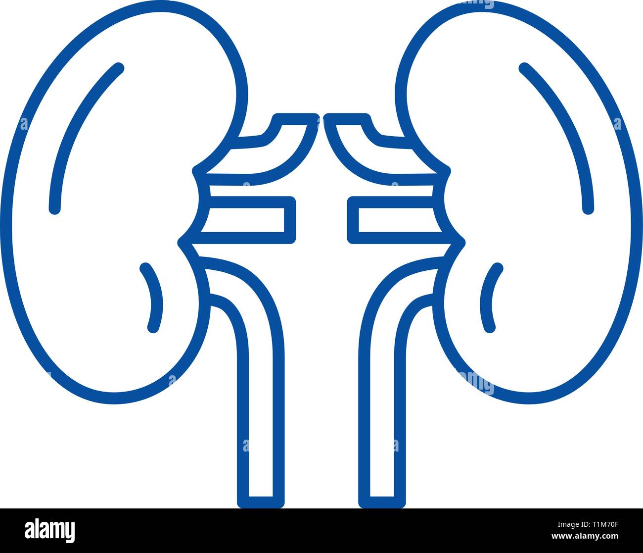 Kidney line icon concept. Kidney flat vector symbol, sign, outline