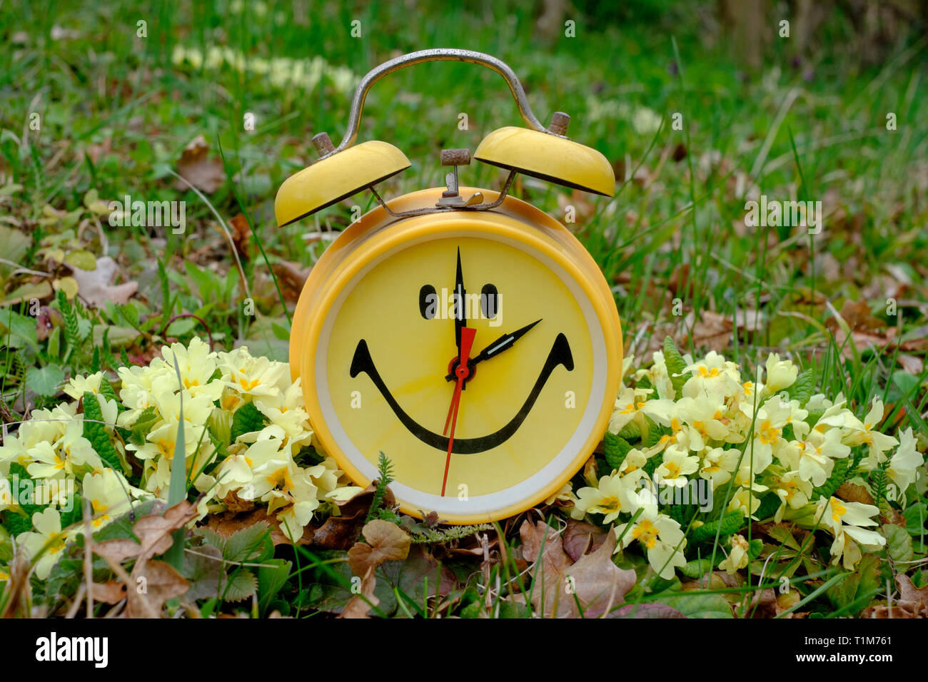 2am hires stock photography and images Alamy