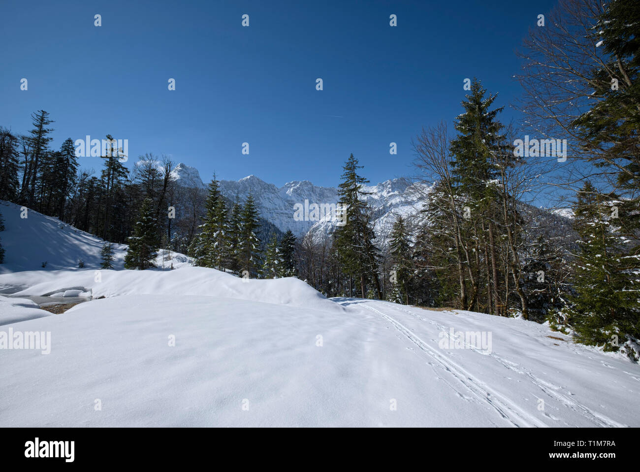 ski and snowshoe tracks in front of snowy Karwendel mountain range, Tyrol, Austria Stock Photo