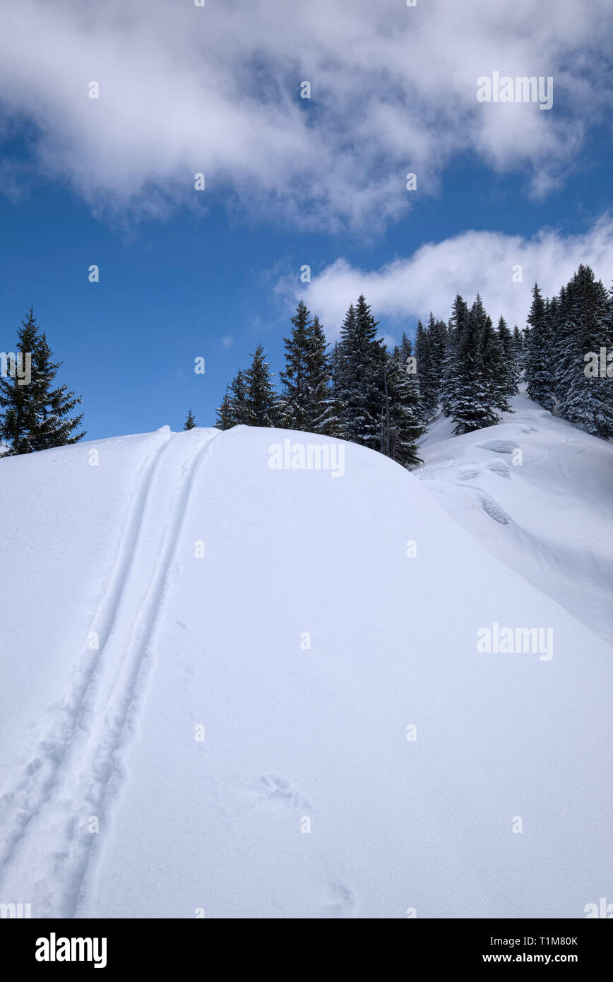 ski tracks in snowy Karwendel mountain range, Tyrol, Austria Stock Photo