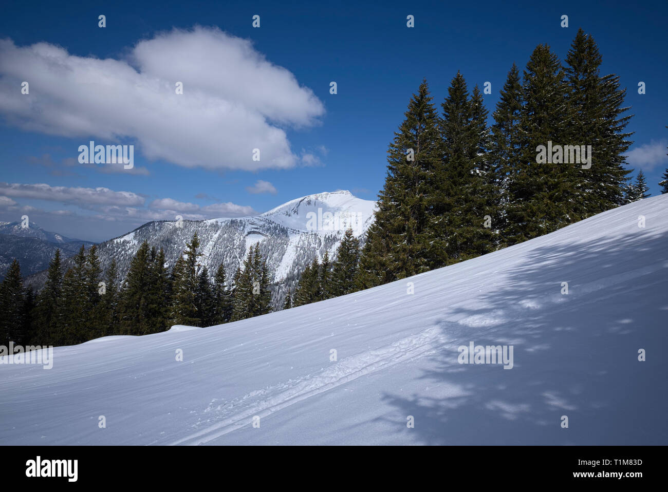 ski and snowshoe tracks in front of snowy Karwendel mountain range, Tyrol, Austria Stock Photo