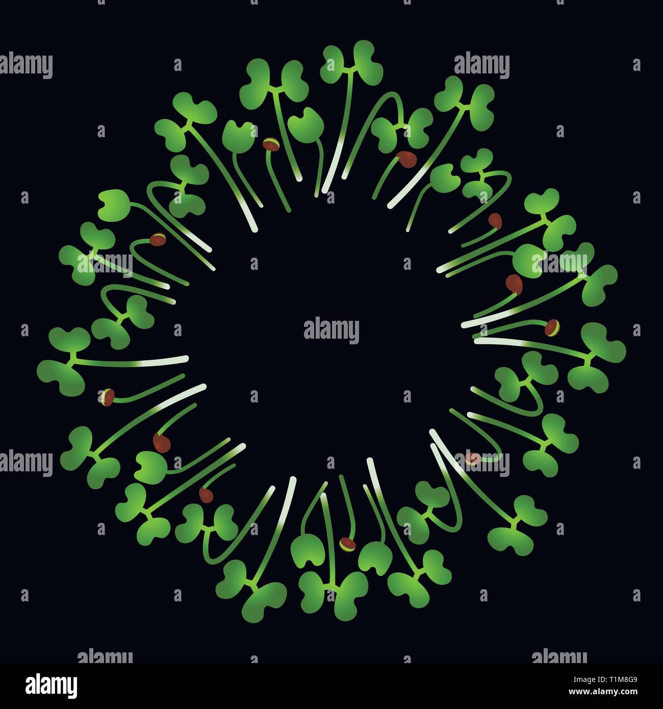 Microgreens Chinese Cabbage Arranged In A Circle Vitamin Supplement microgreens-chinese-cabbage-arranged-in-a-circle-vitamin-supplement