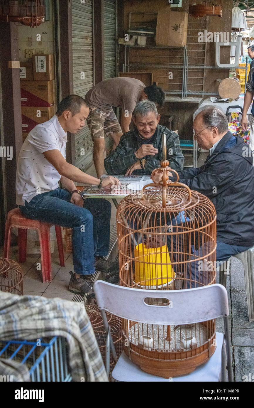 People at Asian Bird Market Stock Photo