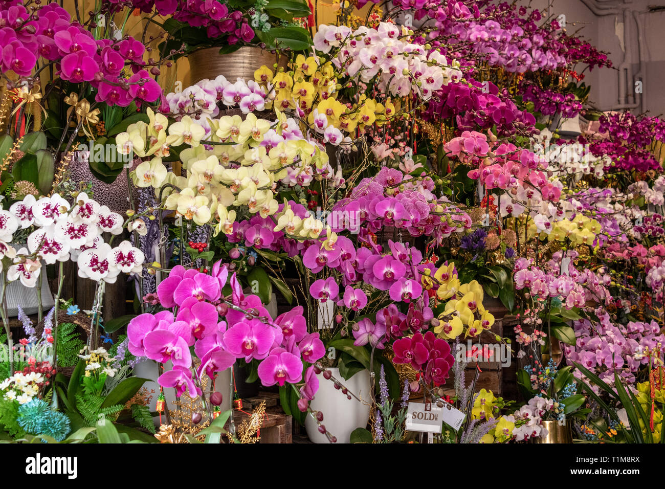Gift shop hong kong hires stock photography and images Alamy