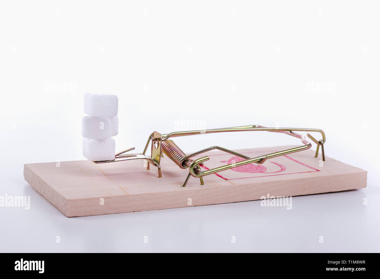 Sugar cubes on mousetrap Stock Photo