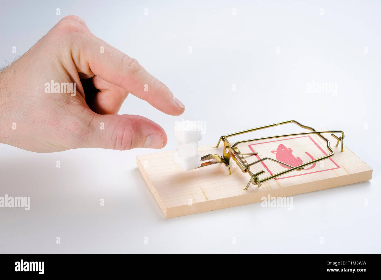 Finger reaching for sugar cubes on mousetrap Stock Photo
