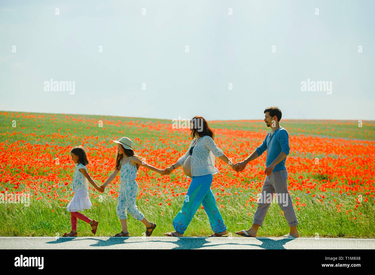 Pregnant family holding hands, walking along sunny, rural red poppy field Stock Photo