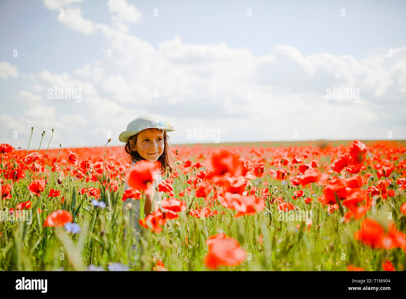 Girl in sunny, idyllic rural red poppy field Stock Photo