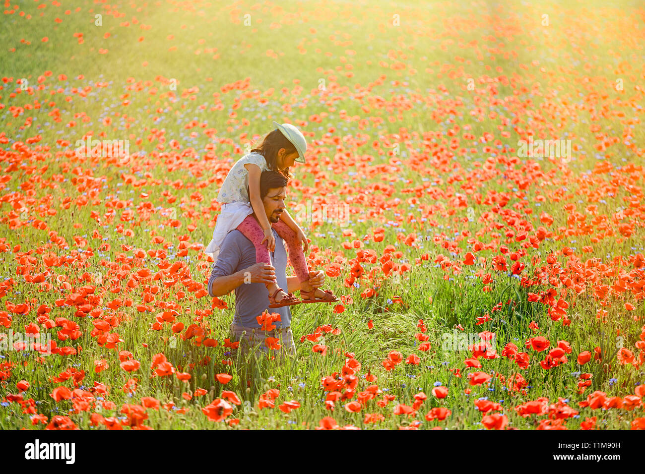 Father carrying daughter on shoulders in sunny idyllic rural field with red poppies Stock Photo