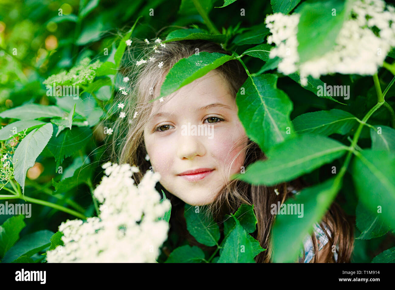 Portrait serene girl standing in flowering bush Stock Photo