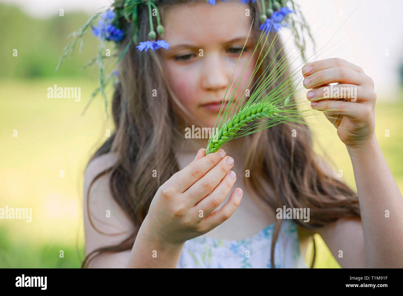 Curious girl holding green wheat stalk Stock Photo