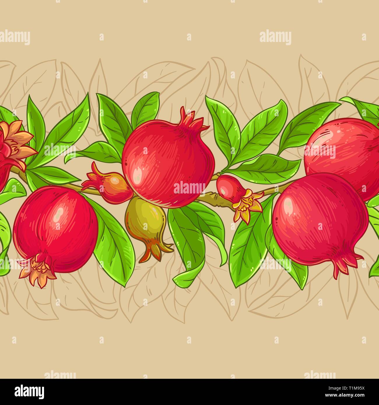 pomegranate vector pattern on color background Stock Vector