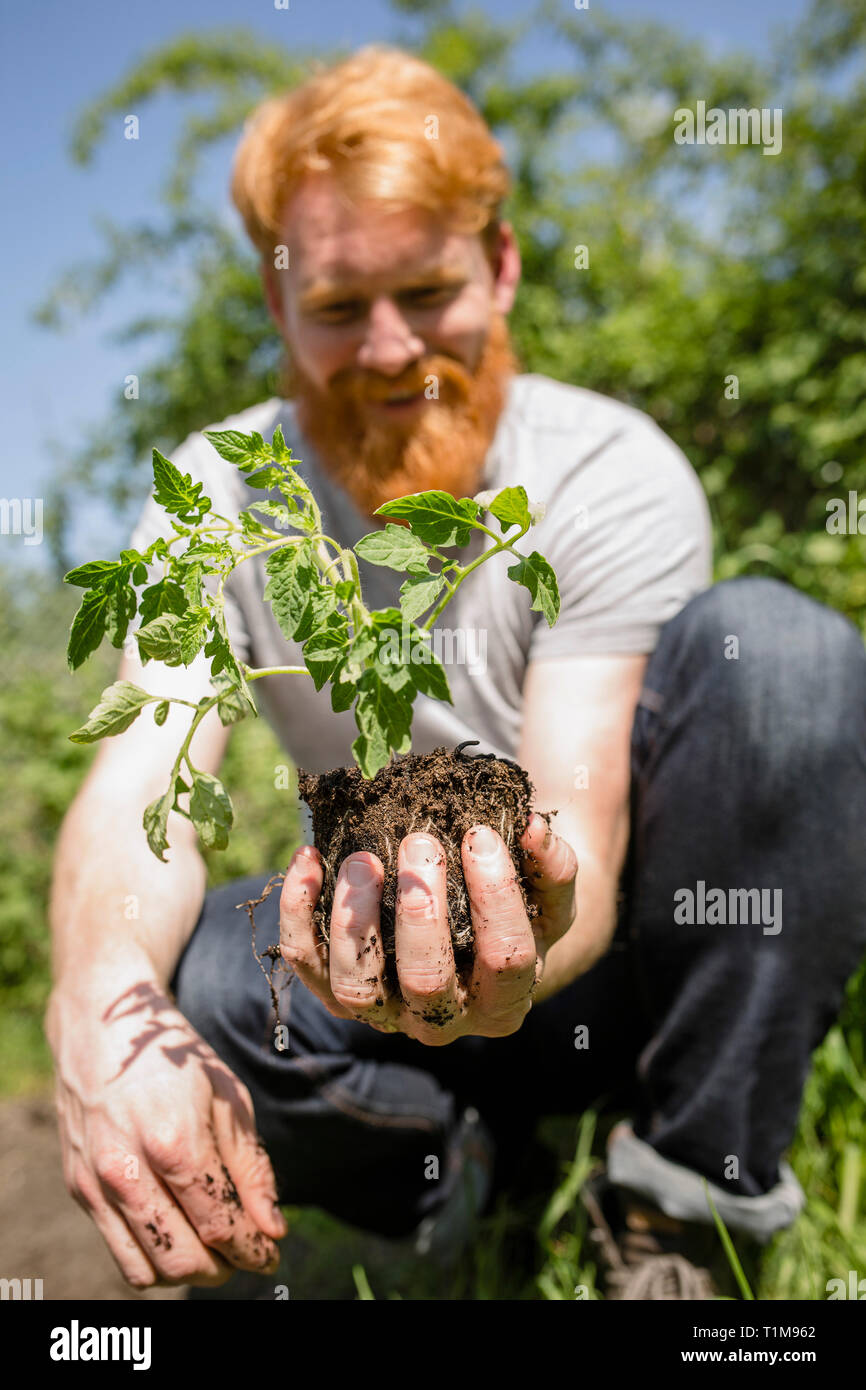 Man with beard holding sapling in sunny garden Stock Photo