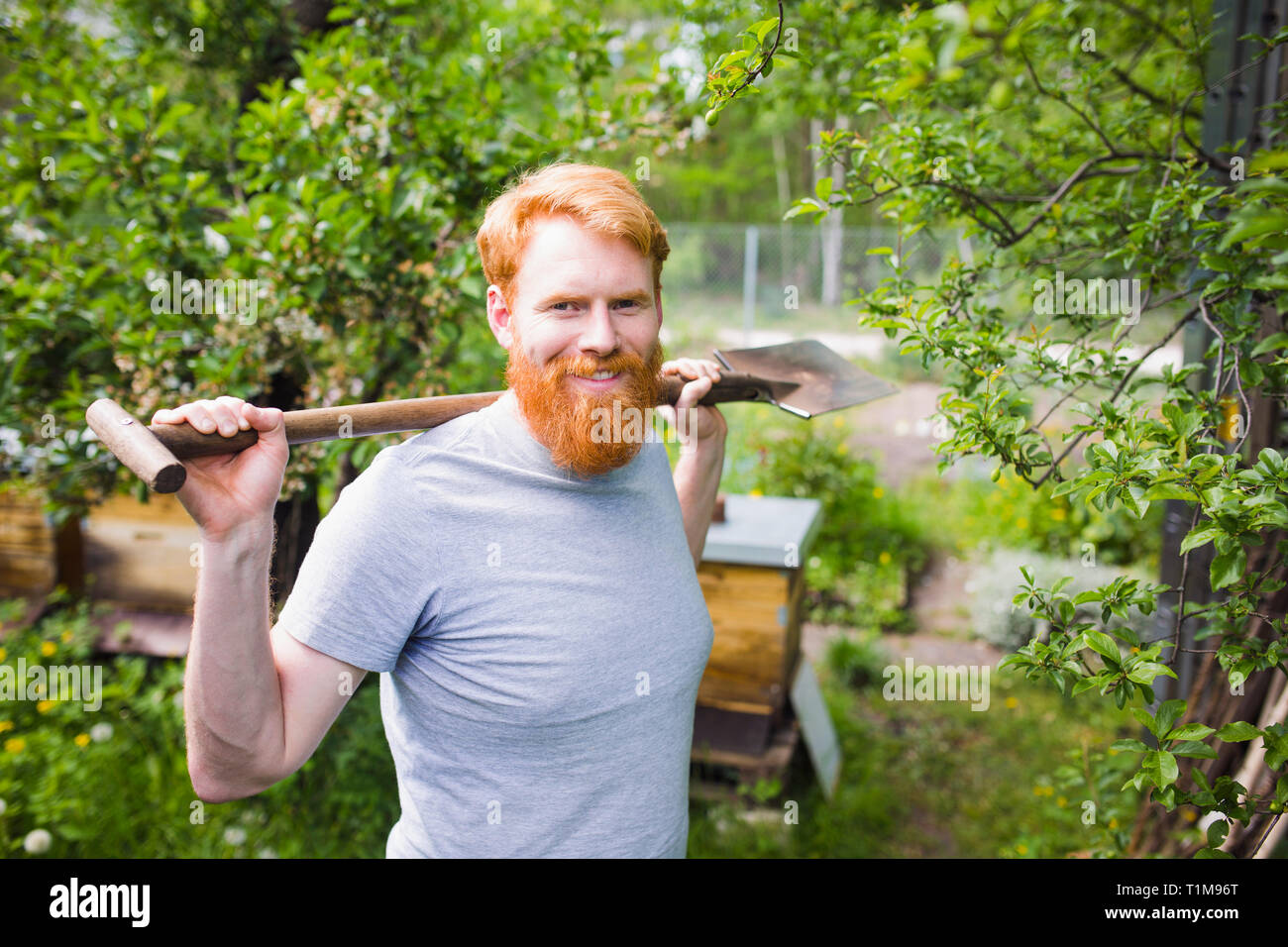 Portrait confident, smiling man with shovel in garden Stock Photo