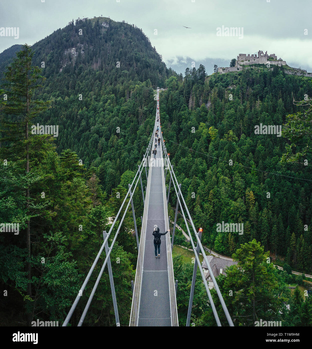 People walking across suspension bridge over green treetops, Tyrol, Austria Stock Photo