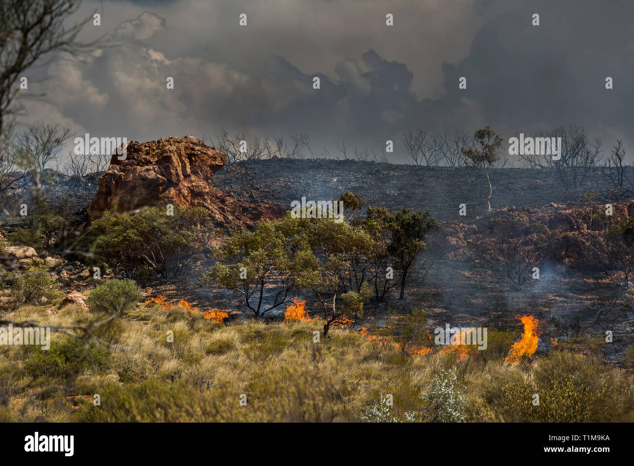 Wildfire burning, East McDonnell Ranges, Alice Springs, Northern Territory, Australia Stock Photo