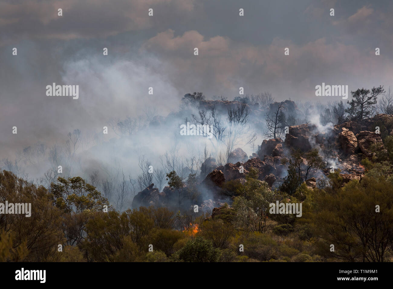 Wildfire burning, East McDonnell Ranges, Alice Springs, Northern Territory, Australia Stock Photo
