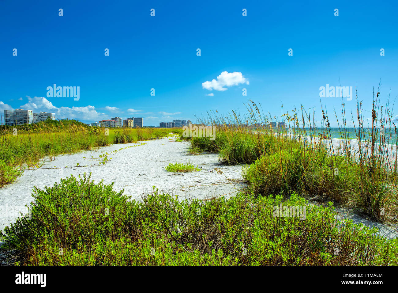 Tigertail beach at Marco Island Stock Photo Alamy