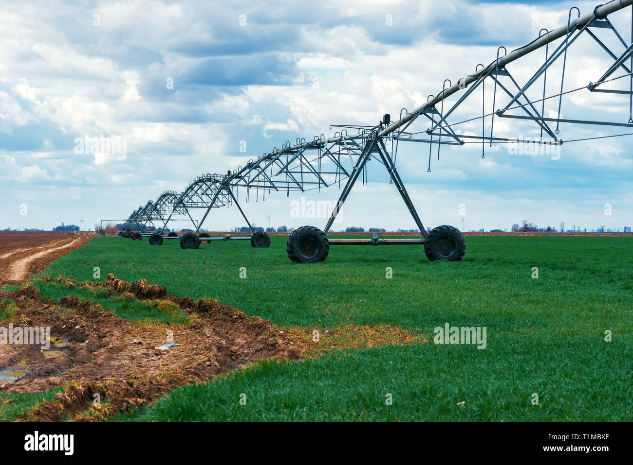 Center pivot irrigation system in cultivated wheat crop agricultural field Stock Photo