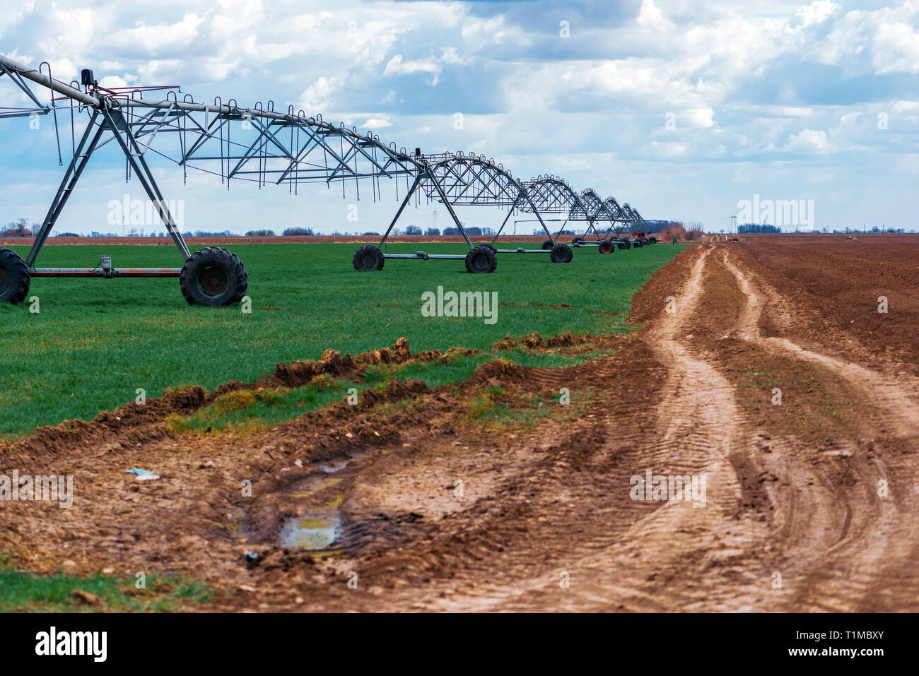 Center pivot irrigation system in cultivated wheat crop agricultural field Stock Photo