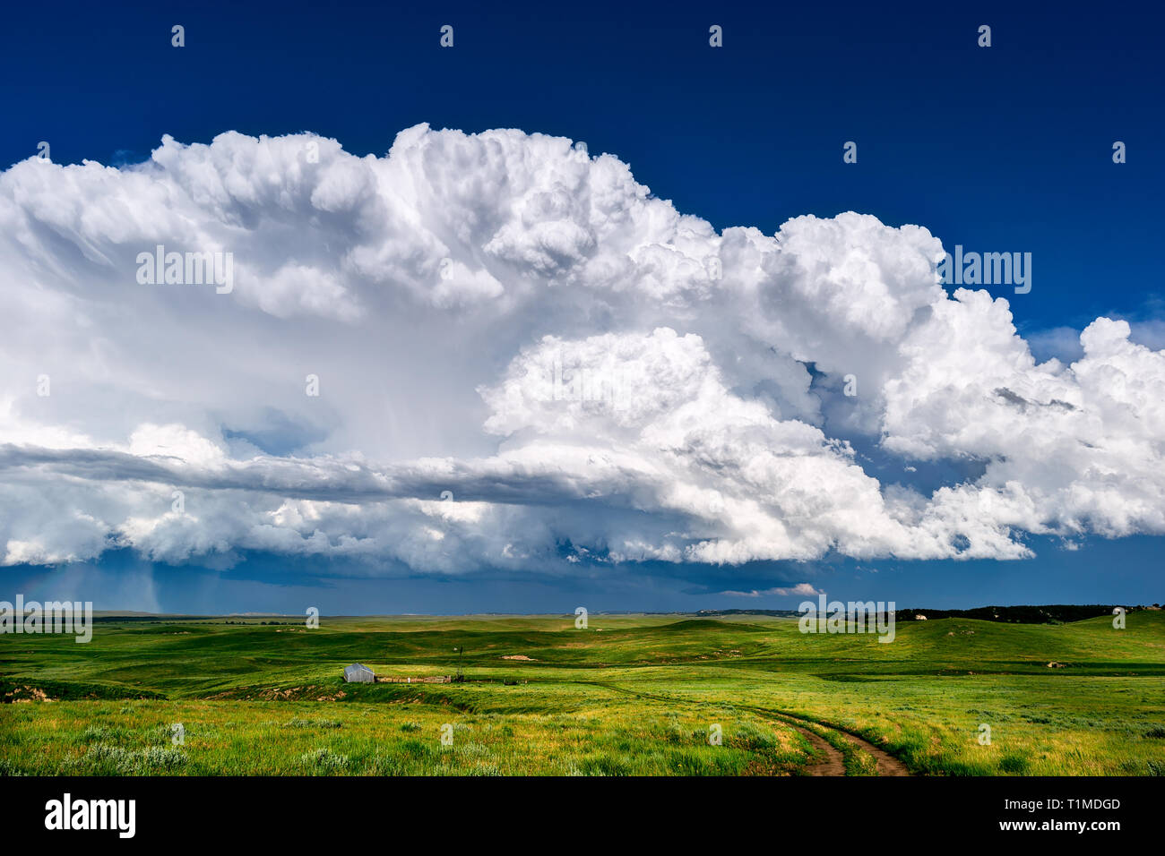 Scenic landscape with dramatic cumulonimbus clouds in the sky as a summer thunderstorm develops near Lusk, Wyoming Stock Photo