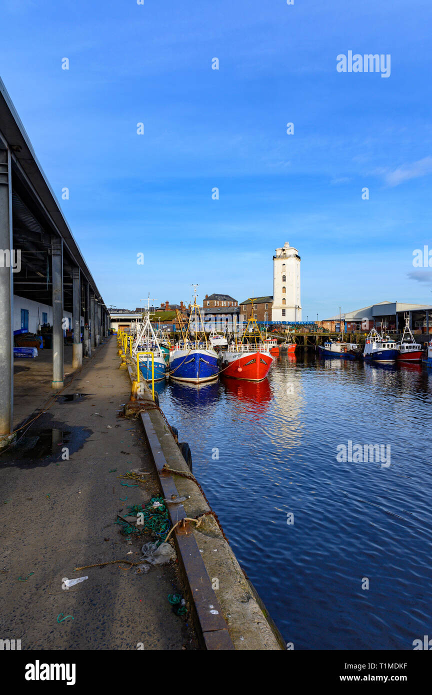 North Shields fish Quay, North East England, UK Stock Photo Alamy