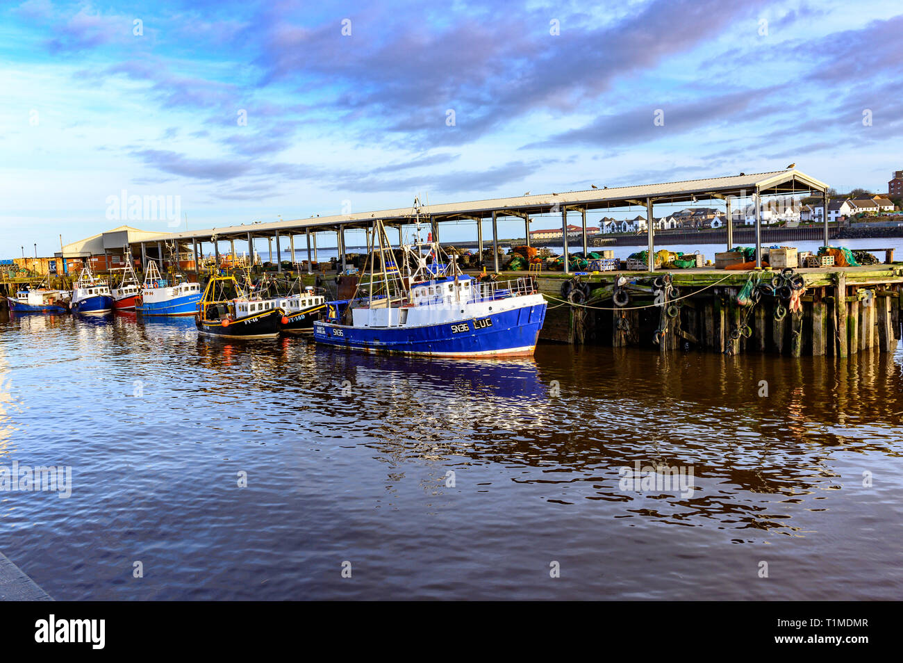 North Shields fish Quay, North East England, UK Stock Photo Alamy
