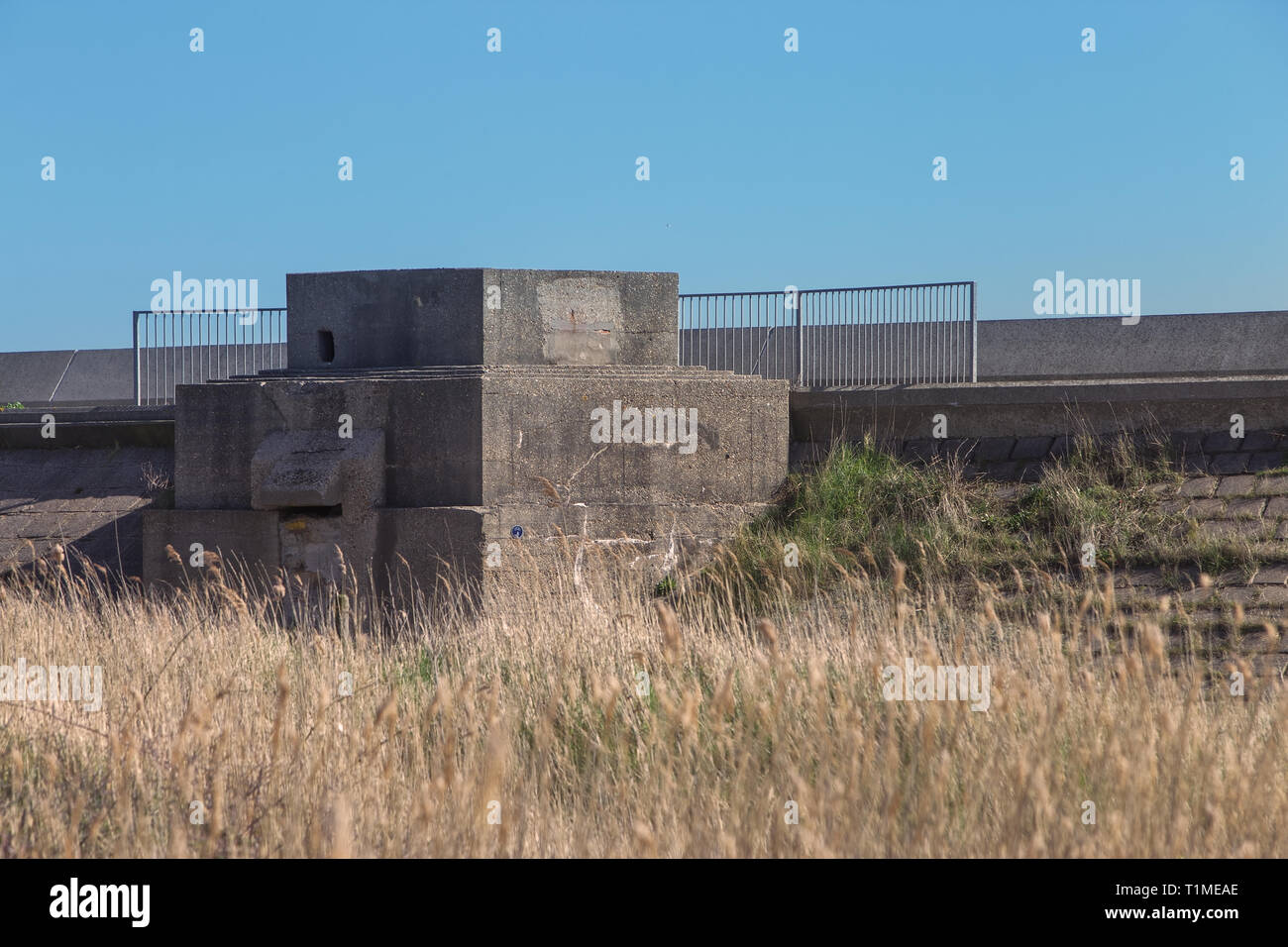 Holland house 1940 hi-res stock photography and images - Alamy
