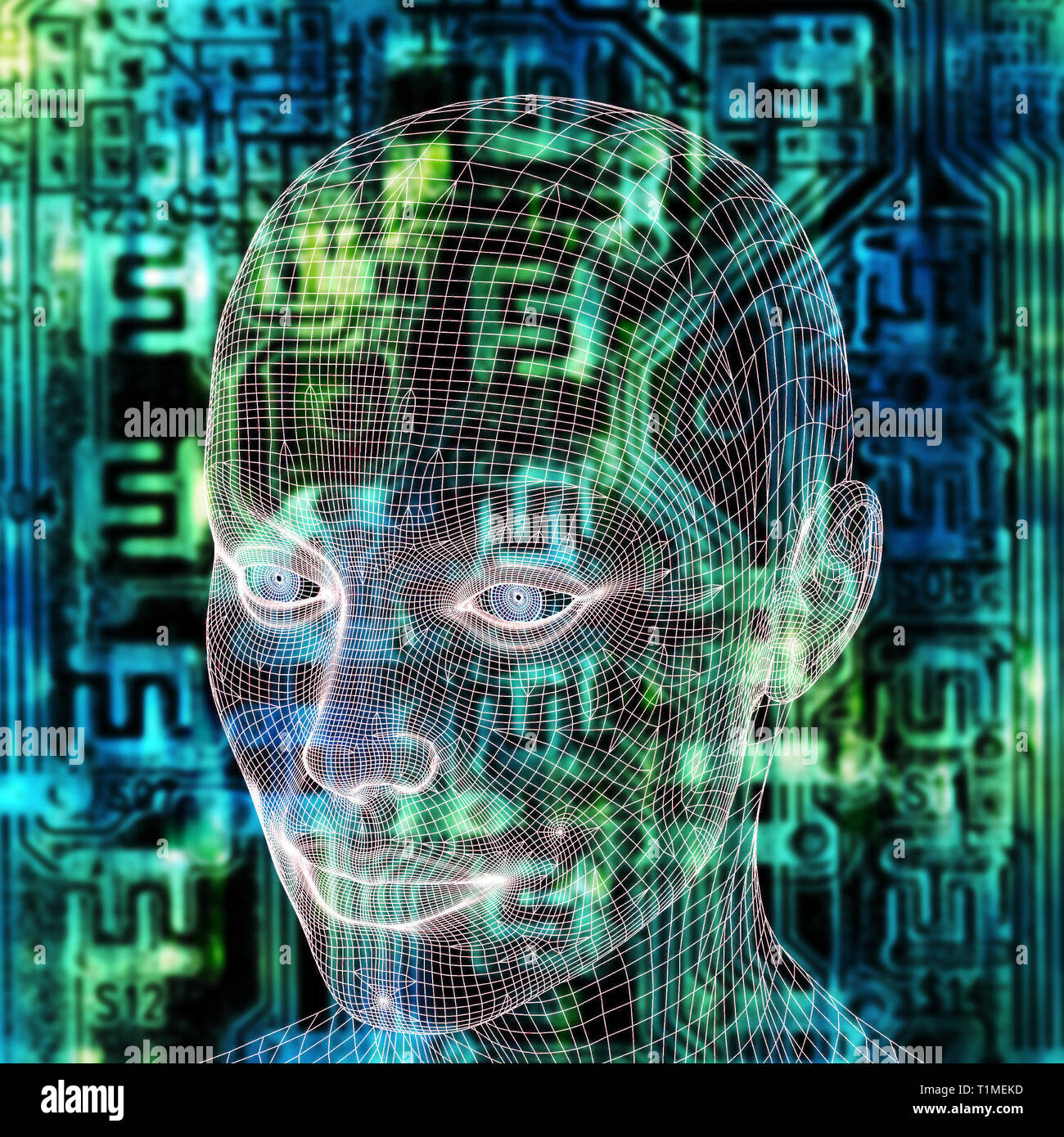 female humanoid wireframe head as concept for Artificial Intelligence, future generations of humans, cyberlife and digitally created personas Stock Photo