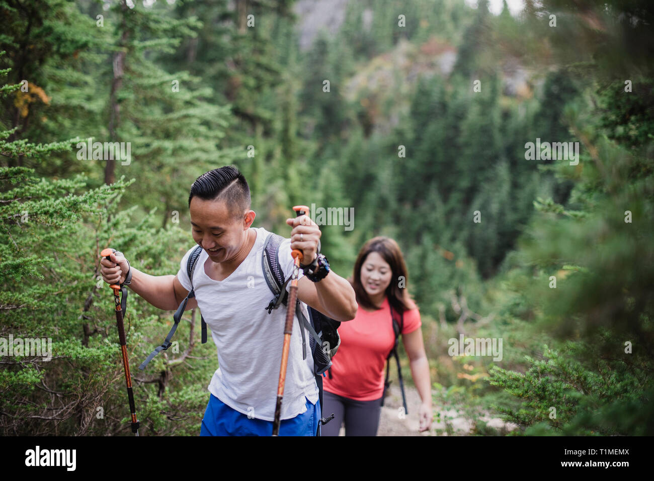 Hiking in woods hi-res stock photography and images - Alamy