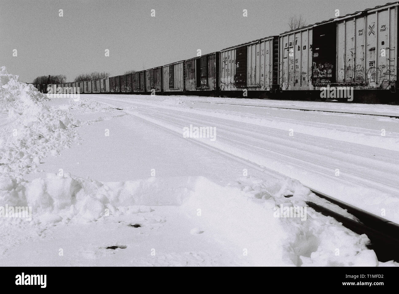 Train in Elginburg, Ontario, Canada - High Quality Scanned Negative - 35mm - Photo taken in 2002 Stock Photo