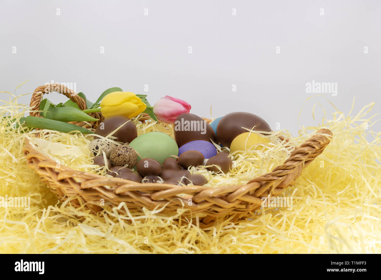 Painted chicken eggs, quail eggs and tulips for Easter and spring arrival Stock Photo