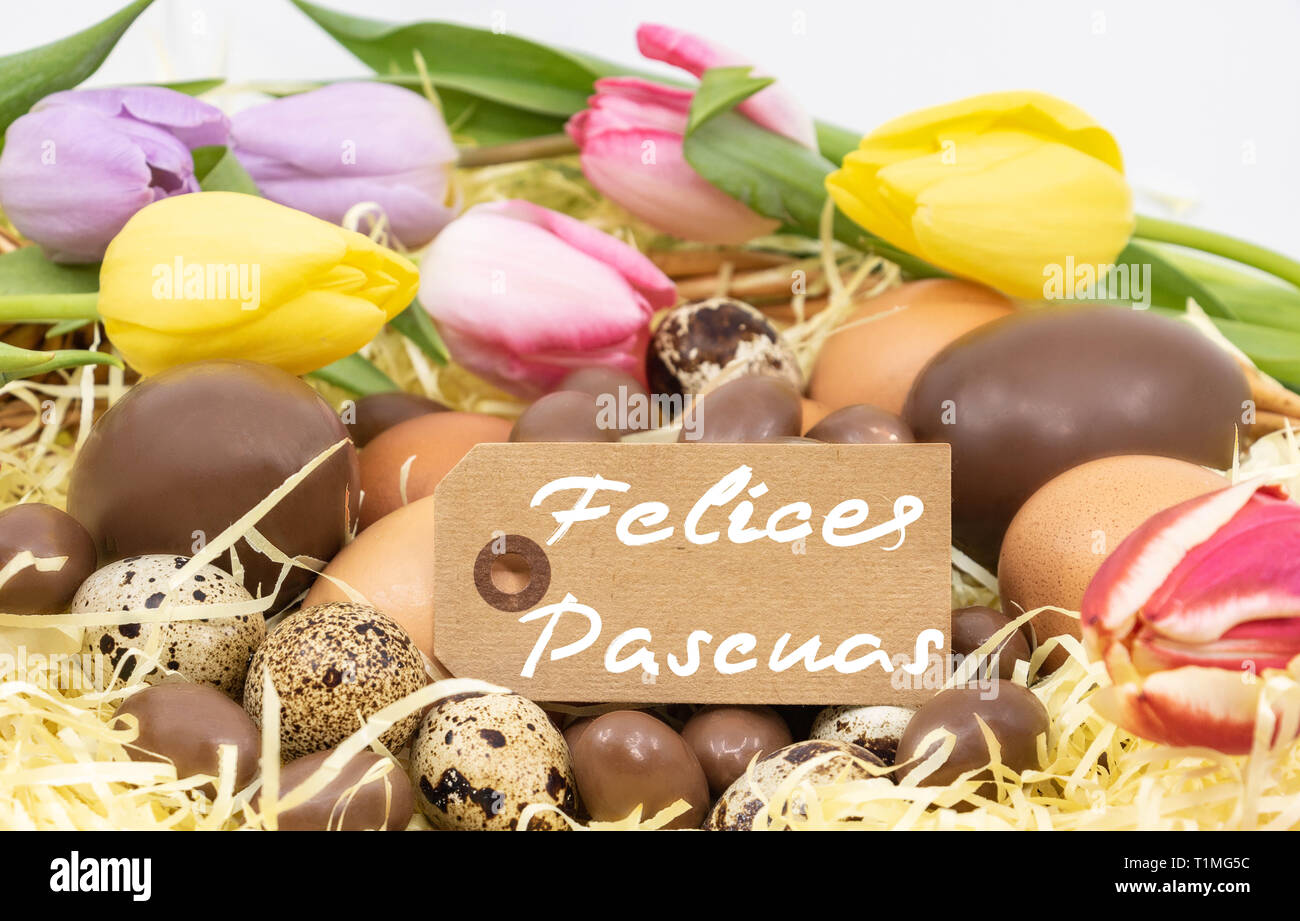 Felices pascuas is Happy Easter written in Spanish for graphic resource on the themes of Easter and arrival of spring Stock Photo