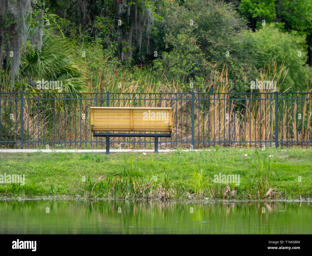 Wet Retention Pond in critical wildlife area Stock Photo Alamy