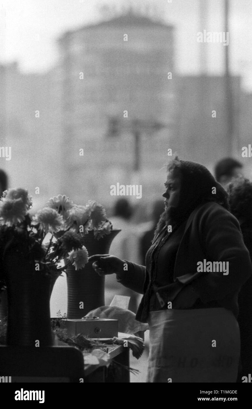 13.11.1965, Berlin, Berlin, GDR - HO employee sells flowers. 00S651113A271CAROEX.JPG [MODEL RELEASE: NO, PROPERTY RELEASE: NOT APPLICABLE (c) caro ima Stock Photo