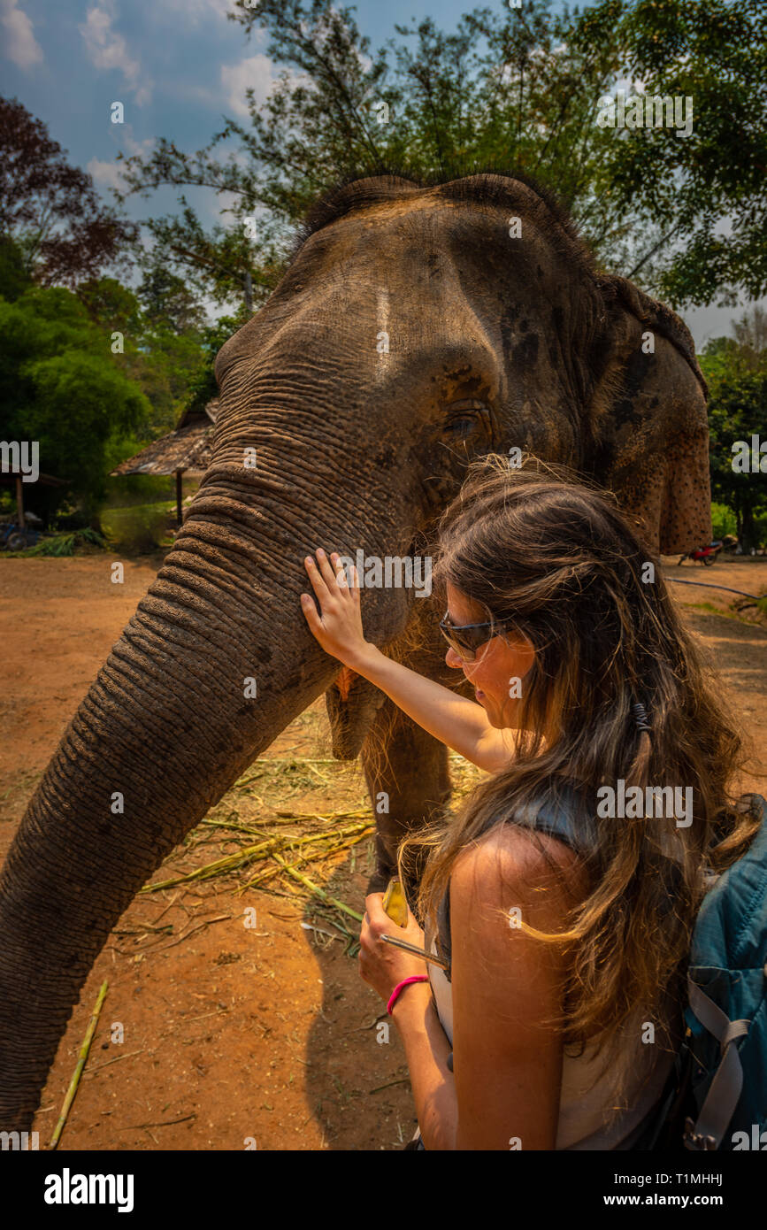 Girl wearing blue backpack Feeds bananas to elephant. Thailand Stock Photo