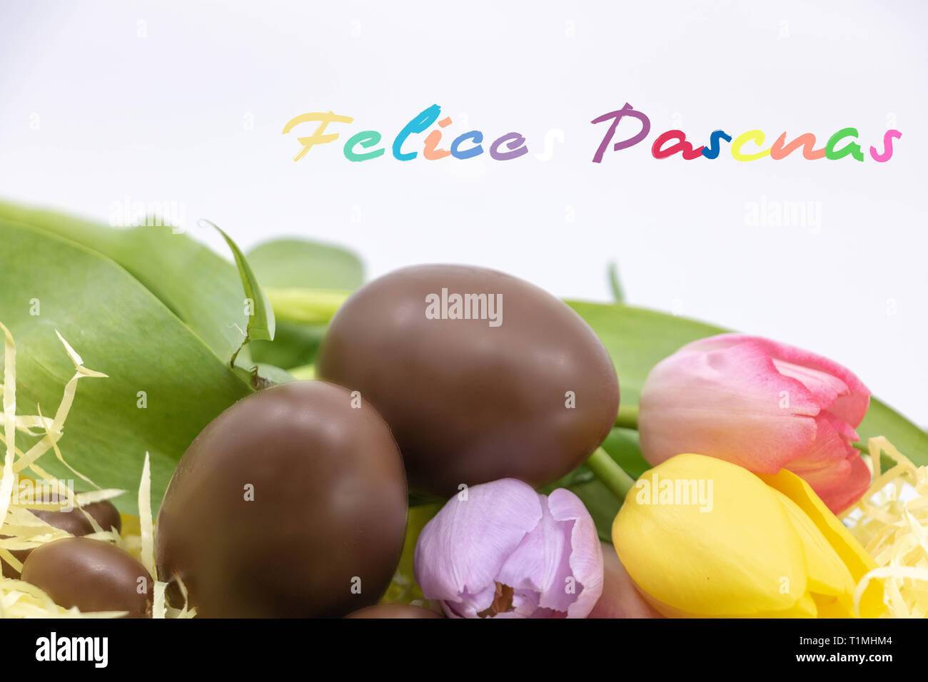 Spanish text (Felices pascuas is Happy Easter written in Spanish) very colorful to celebrate Easter Stock Photo