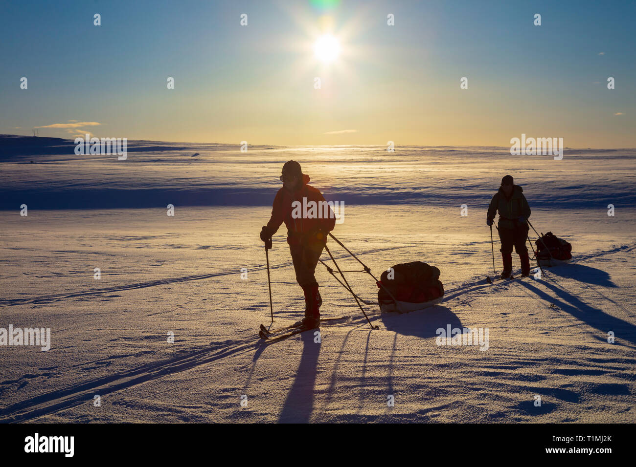 Cross country ski touring group crossing the Finnmarksvidda Plateau. Finnmark, Arctic Norway. Stock Photo