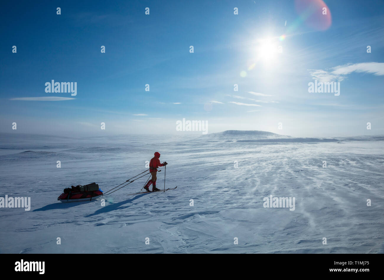 Cross country ski tourer crossing the Finnmarksvidda Plateau. Finnmark, Arctic Norway. Stock Photo