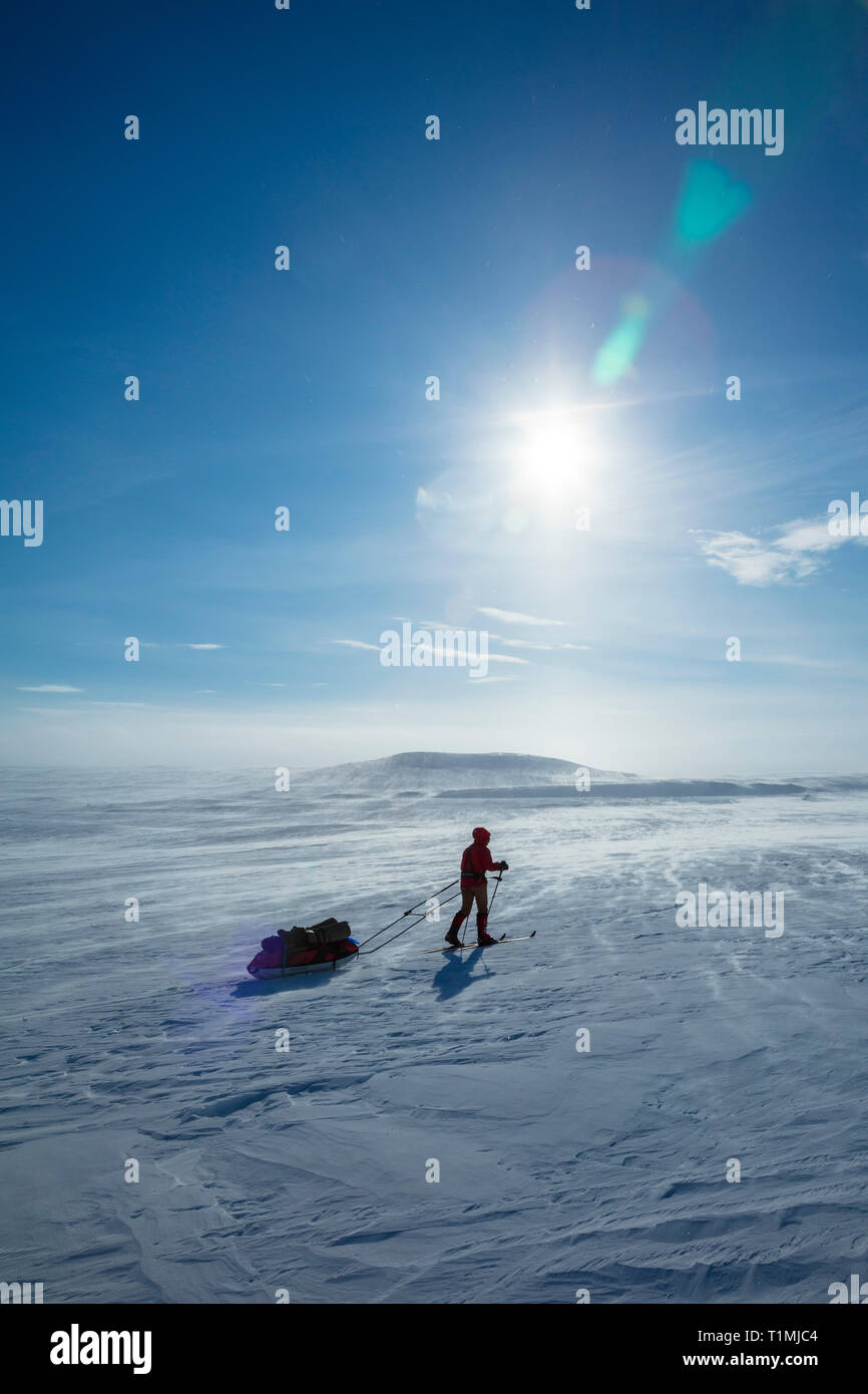 Cross country ski tourer crossing the Finnmarksvidda Plateau. Finnmark, Arctic Norway. Stock Photo