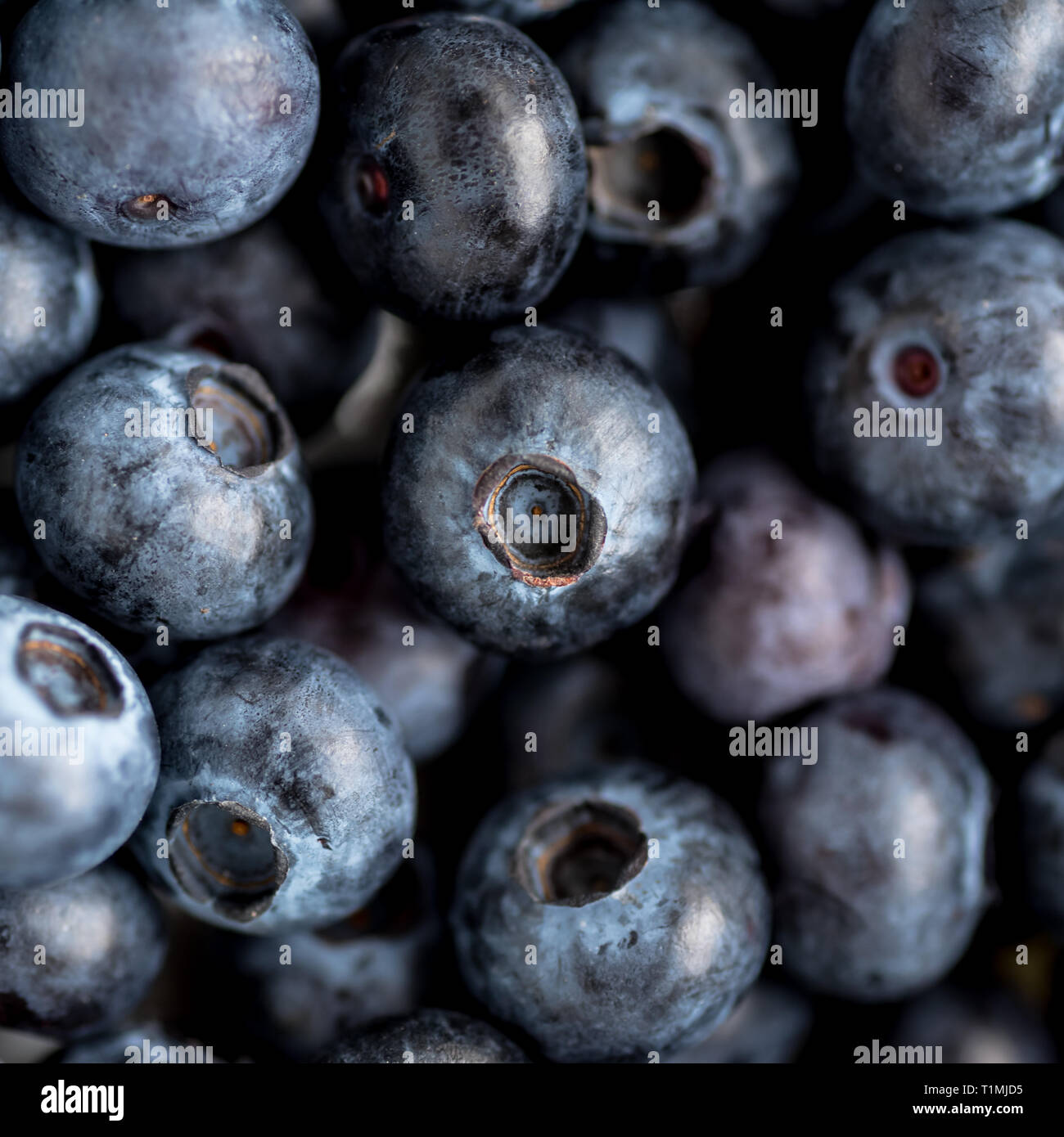 Bunch of blueberries Stock Photo Alamy