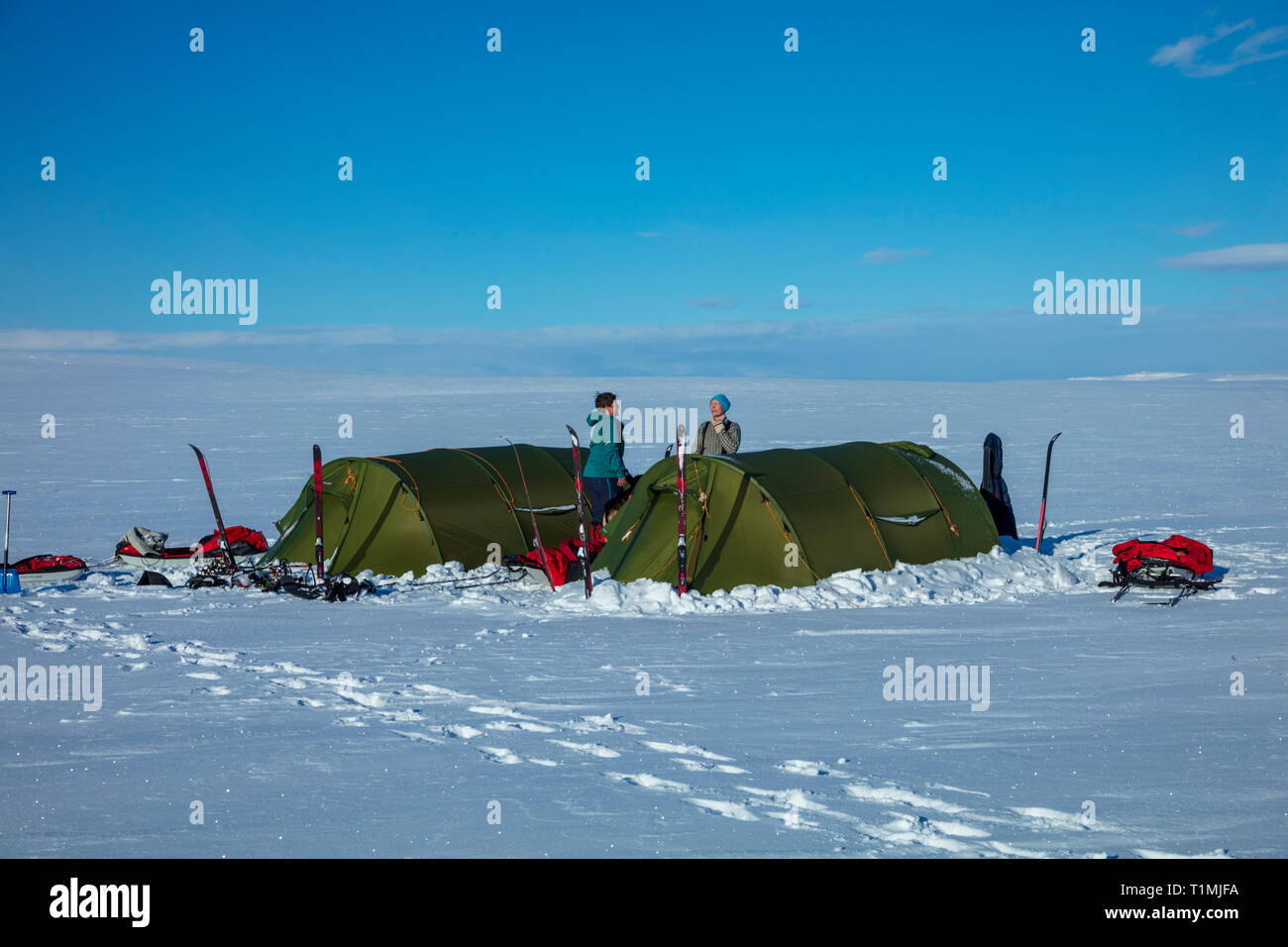 Cross country ski touring group camping on the Finnmarksvidda Plateau. Finnmark, Arctic Norway. Stock Photo