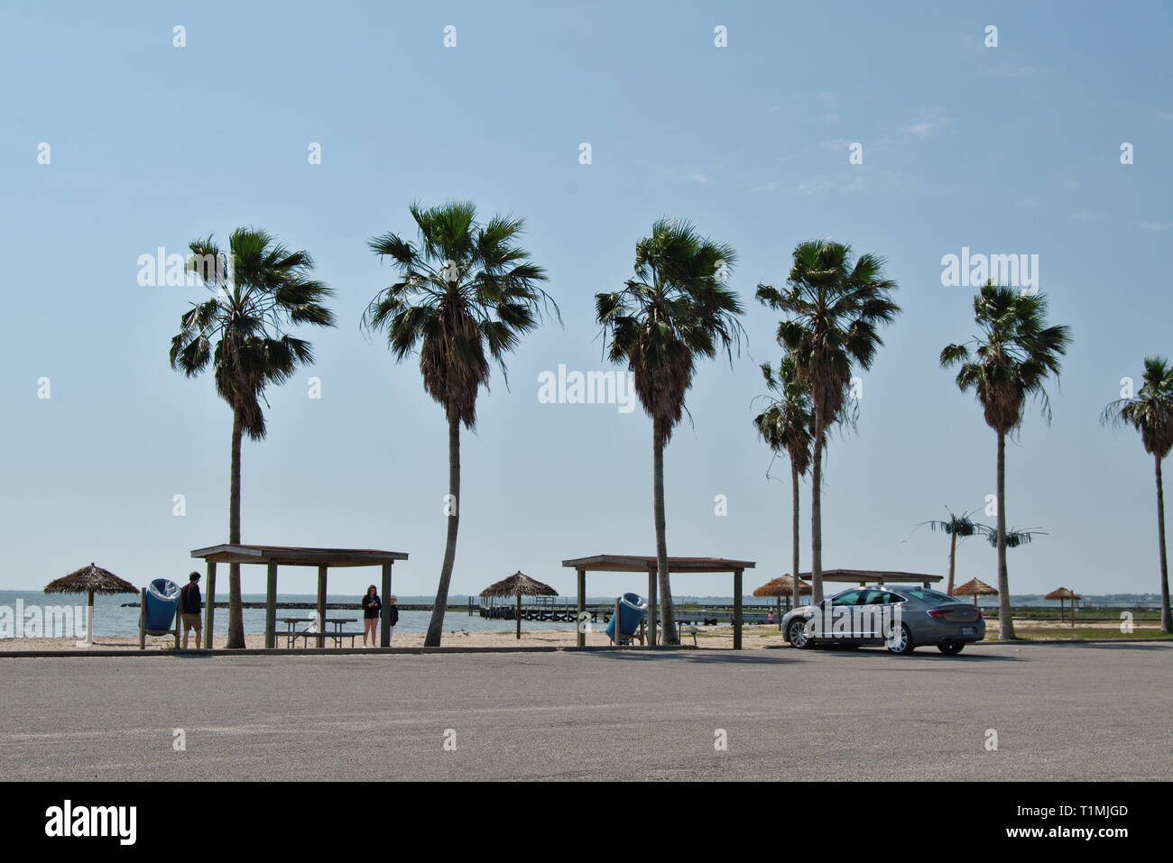 Picnic tables palm trees High Resolution Stock Photography and Images