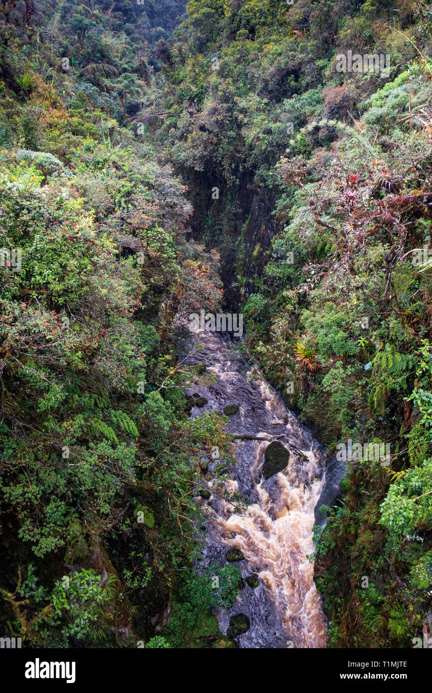 A waterfall in cloud forest in Purace National Park, Colombian Andes Stock Photo