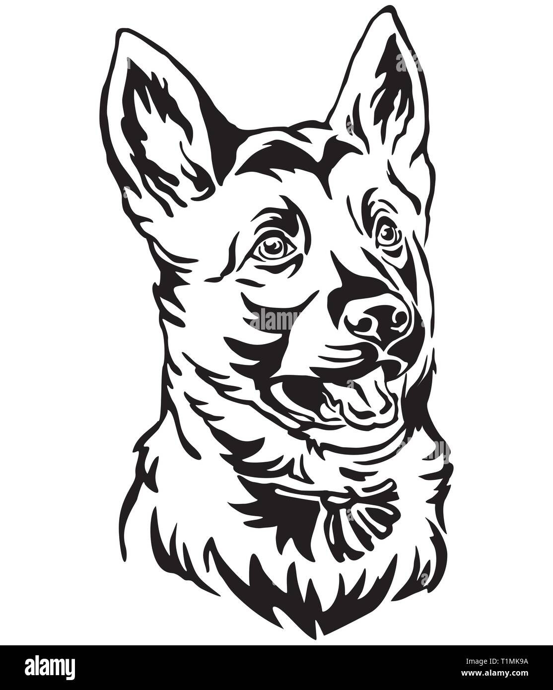 Decorative outline portrait of puppy German Shepherd Dog looking in profile, vector illustration in black color isolated on white background. Image fo Stock Vector