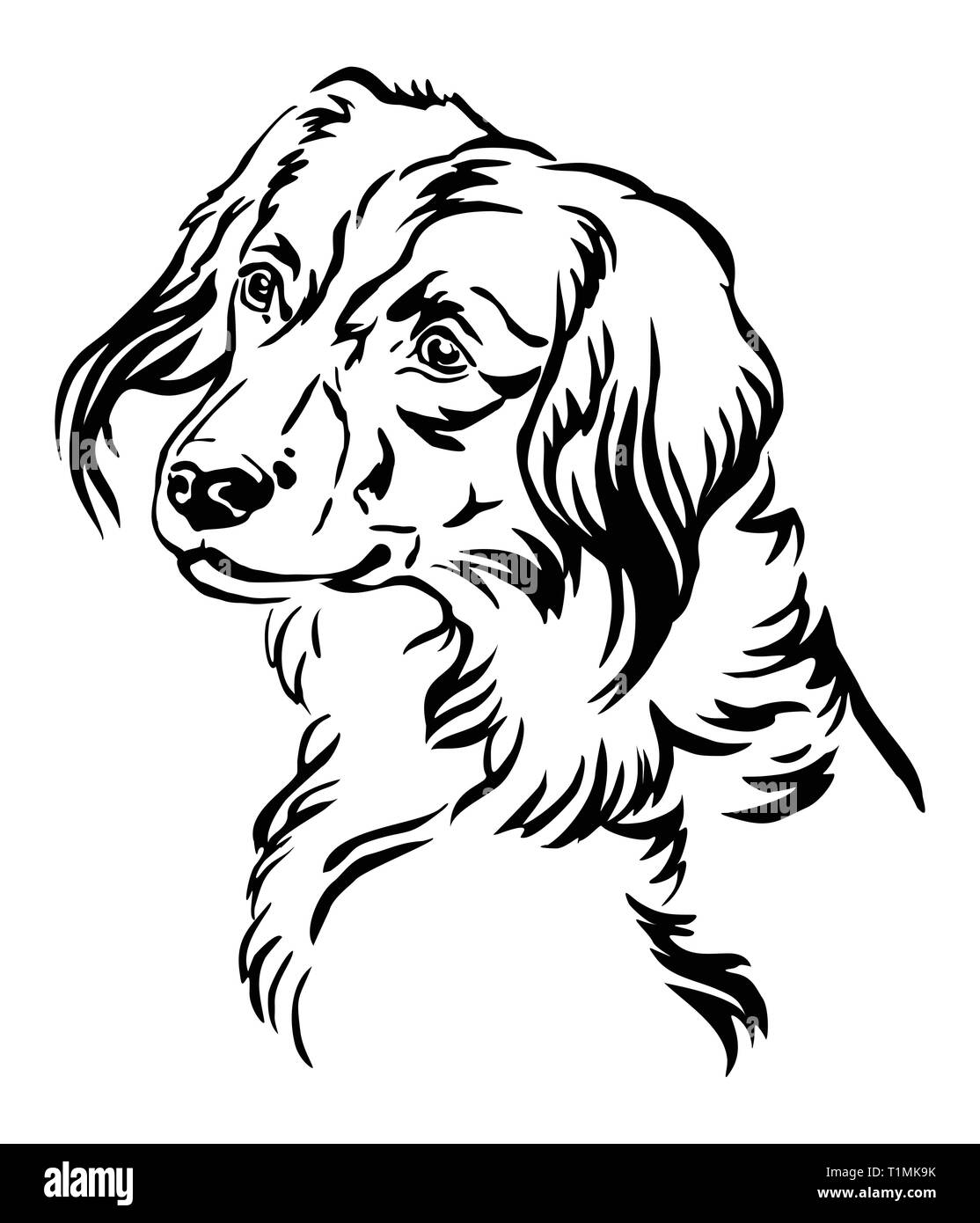 Decorative outline portrait of Nederlandse Kooikerhondje Dog looking in profile, vector illustration in black color isolated on white background. Imag Stock Vector