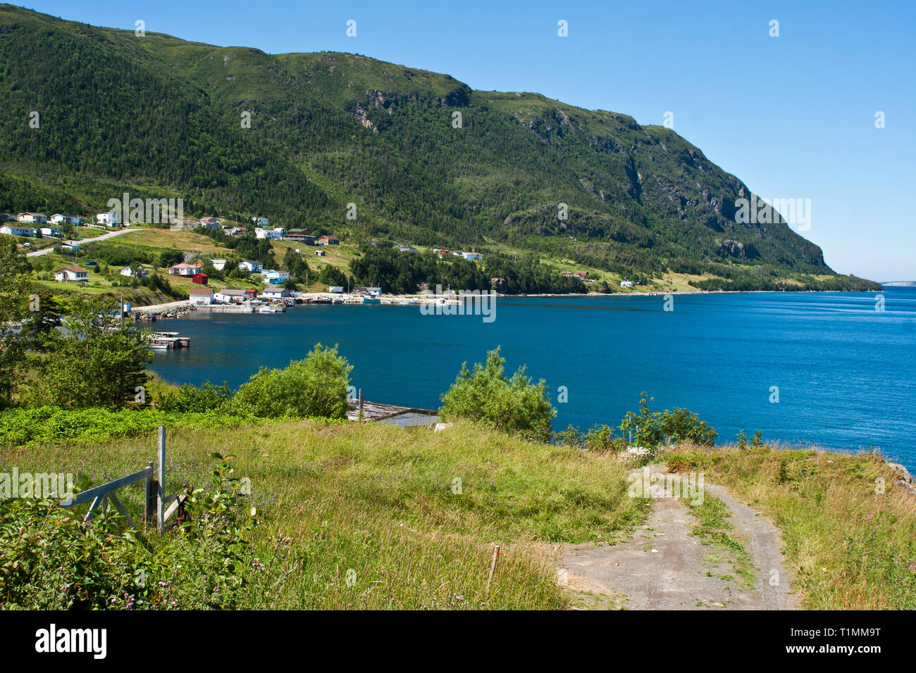 Newfoundland, Bonne Bay, Woody Point Stock Photo Alamy