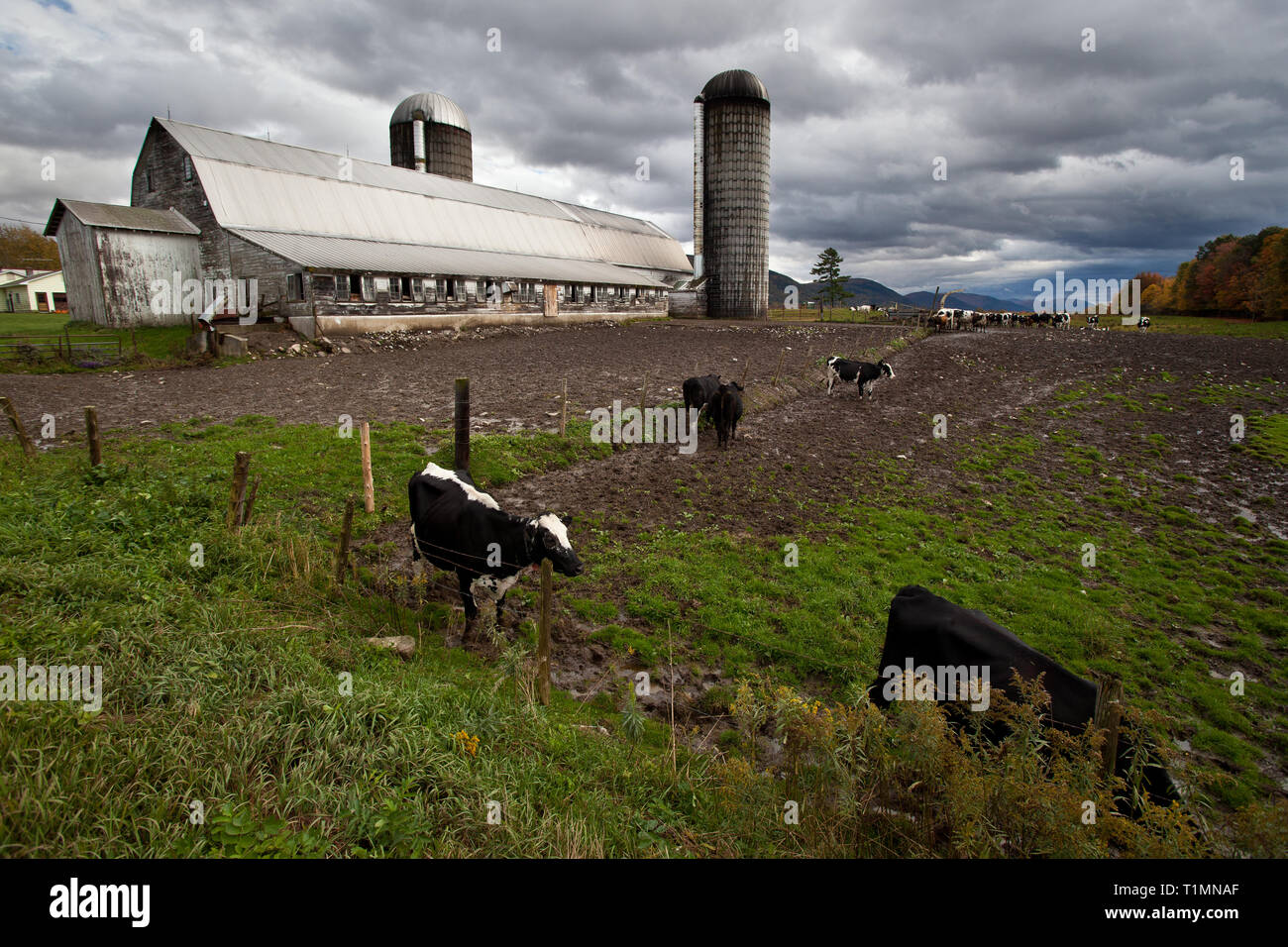 Monkton, Addison County, Vermont, USA Stock Photo Alamy