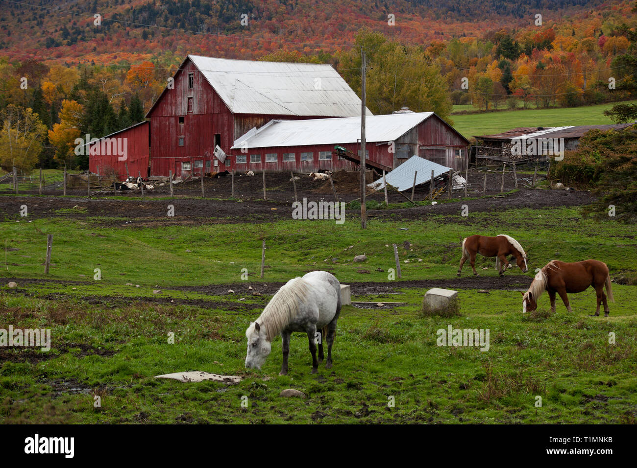 Kirby, Caledonia County, Vermont, USA Stock Photo Alamy