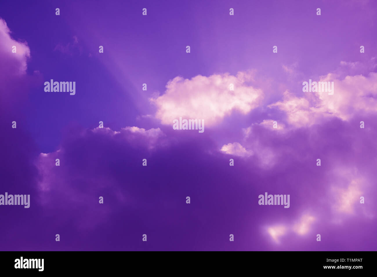 Beautiful Purple Sky With Clouds Great Rays Of The Sun Shine Through The Clouds Stock Photo Alamy